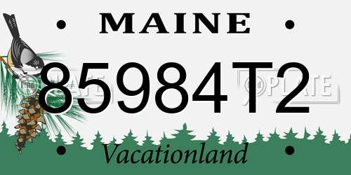 85984T2 Maine License Plate