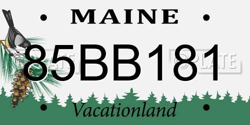 85BB181 Maine License Plate