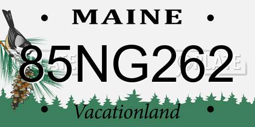 85NG262 Maine License Plate