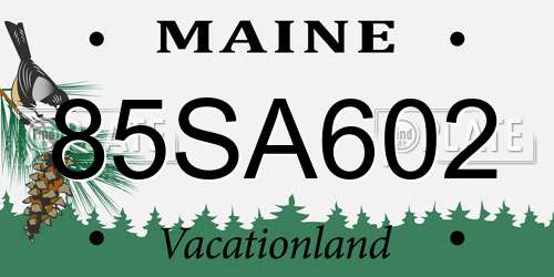 85SA602 Maine License Plate