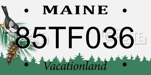 85TF036 Maine License Plate