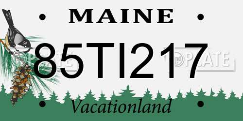 85TI217 Maine License Plate