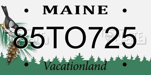 85TO725 Maine License Plate