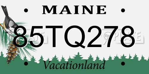 85TQ278 Maine License Plate