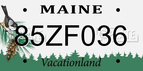 85ZF036 Maine License Plate