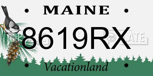 8619RX Maine License Plate