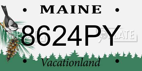8624PY Maine License Plate