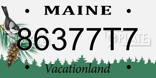 86377T7 Maine License Plate