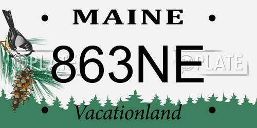 863NE Maine License Plate