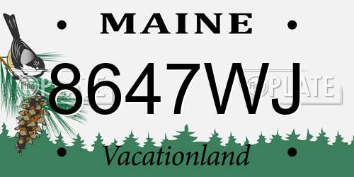 8647WJ Maine License Plate