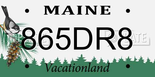 865DR8 Maine License Plate