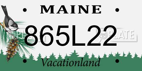865L22 Maine License Plate