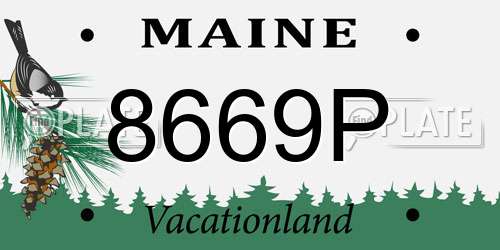 8669P Maine License Plate