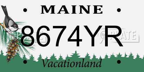 8674YR Maine License Plate