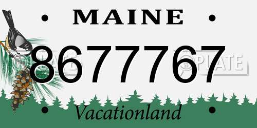 8677767 Maine License Plate