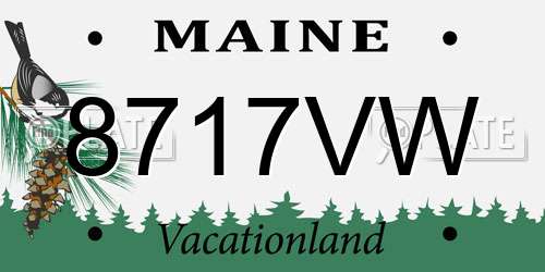 8717VW Maine License Plate