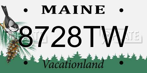 8728TW Maine License Plate