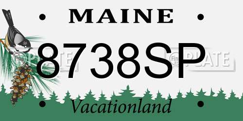 8738SP Maine License Plate