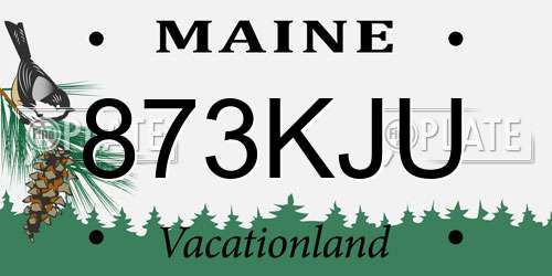 873KJU Maine License Plate