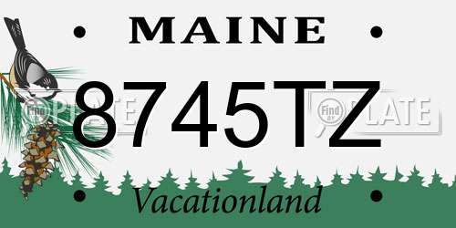 8745TZ Maine License Plate