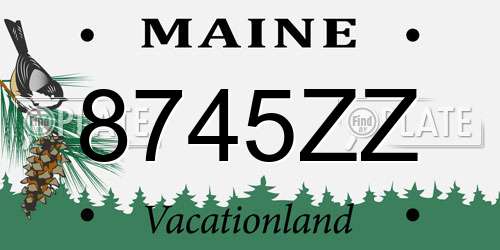 8745ZZ Maine License Plate