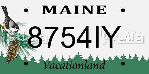 8754IY Maine License Plate
