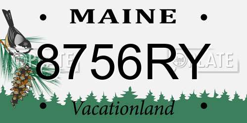 8756RY Maine License Plate