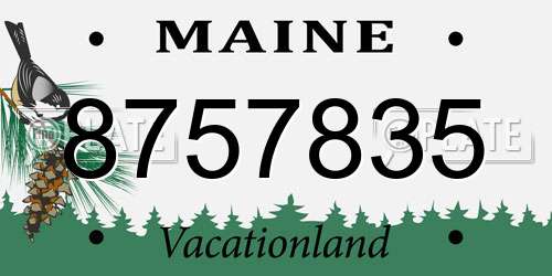 8757835 Maine License Plate