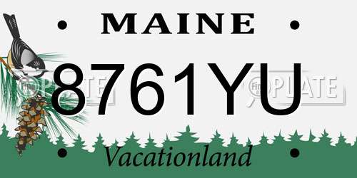 8761YU Maine License Plate