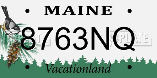 8763NQ Maine License Plate