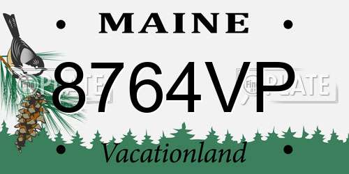 8764VP Maine License Plate