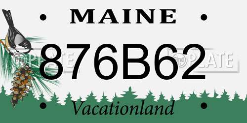 876B62 Maine License Plate