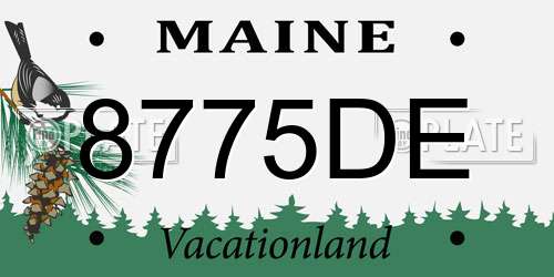 8775DE Maine License Plate
