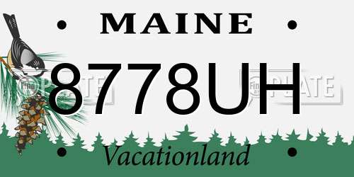 8778UH Maine License Plate