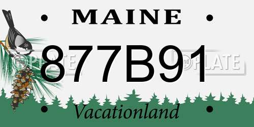 877B91 Maine License Plate