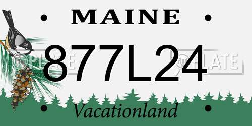 877L24 Maine License Plate