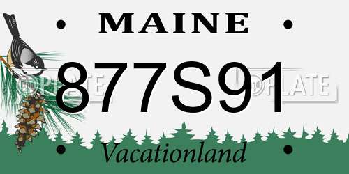 877S91 Maine License Plate