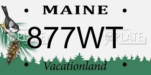877WT Maine License Plate