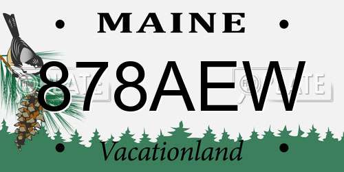 878AEW Maine License Plate