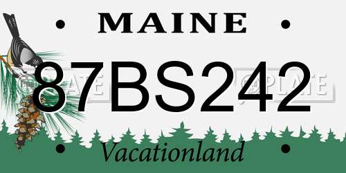 87BS242 Maine License Plate