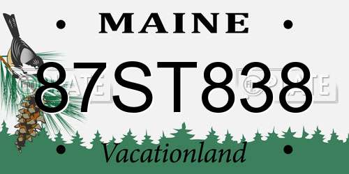 87ST838 Maine License Plate