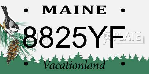 8825YF Maine License Plate
