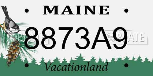 8873A9 Maine License Plate