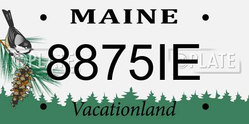 8875IE Maine License Plate