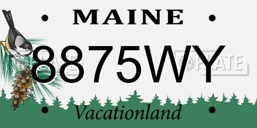 8875WY Maine License Plate