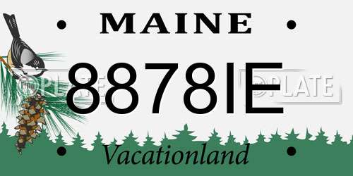 8878IE Maine License Plate
