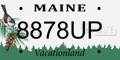 8878UP Maine License Plate