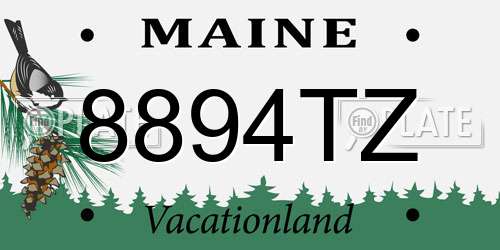 8894TZ Maine License Plate