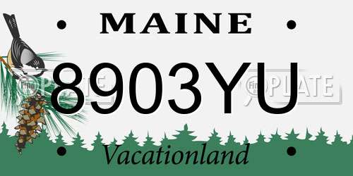 8903YU Maine License Plate