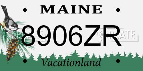 8906ZR Maine License Plate